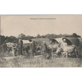 CPA - Attelage de Boeufs...