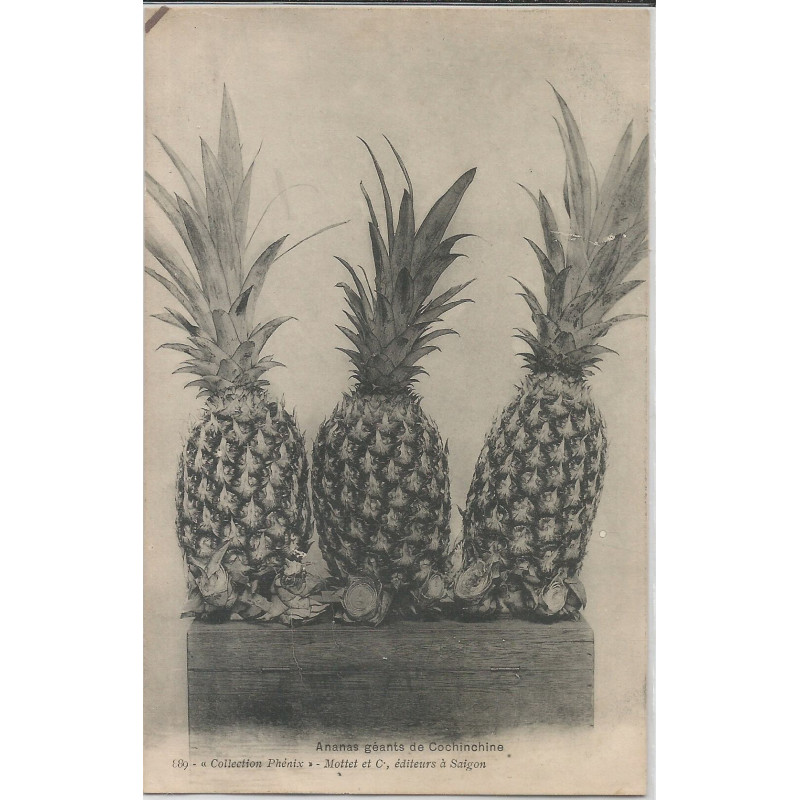 CPA -Ananas Géants de Cochinchine