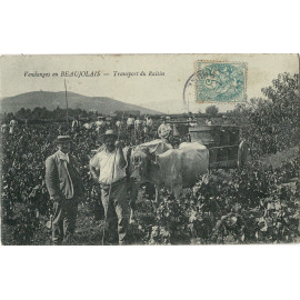 CPA - Vendanges en...