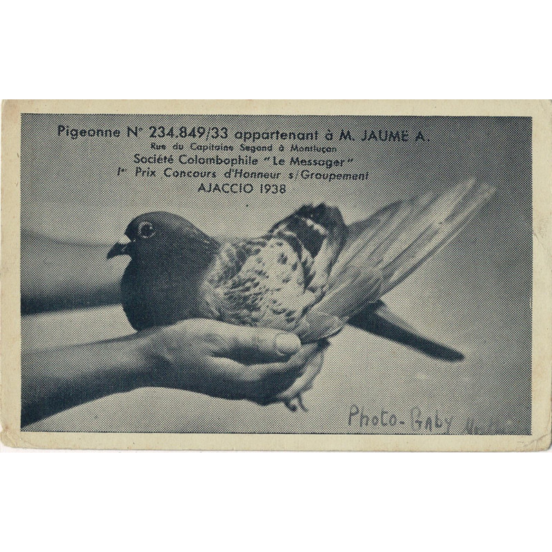 CPA - Ajaccio 1938 - Pigeonne 234.849/33