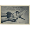CPA - Ajaccio 1938 - Pigeonne 234.849/33