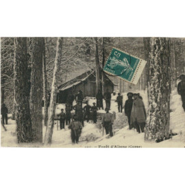 CPA - Forêt d'Aïtone (Corse)