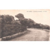 CPA - Calanches de Piana - Le Chien