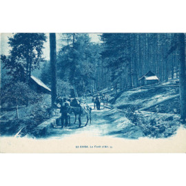 CPA - Evista - La Foret d'Aïf
