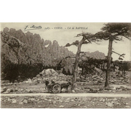 CPA - Corse - Col de Bavella