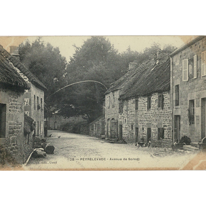 CPA - Peyrelevade - Avenue de Sornac