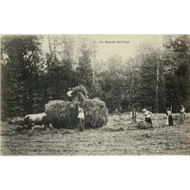 CPA - La Rentrée des Foins