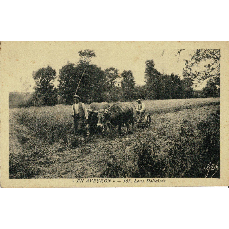 CPA - En Aveyron - Lous Doliaïrés