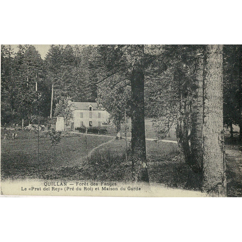 CPA - Quillan - Forêt des Fanges