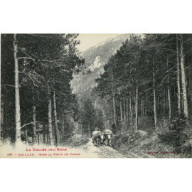 CPA - Quillan - Dans le...