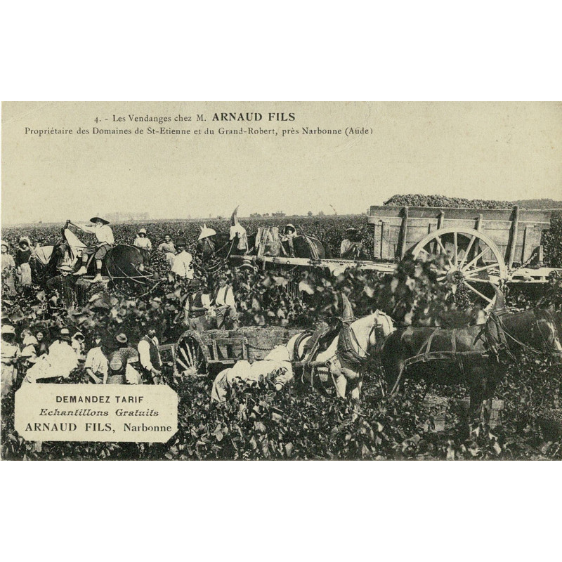 CPA - Narbonne - les vendanges chez M. Arnaud Fils propriétaire des domaines de St Etienne et du Grand Robert N°3