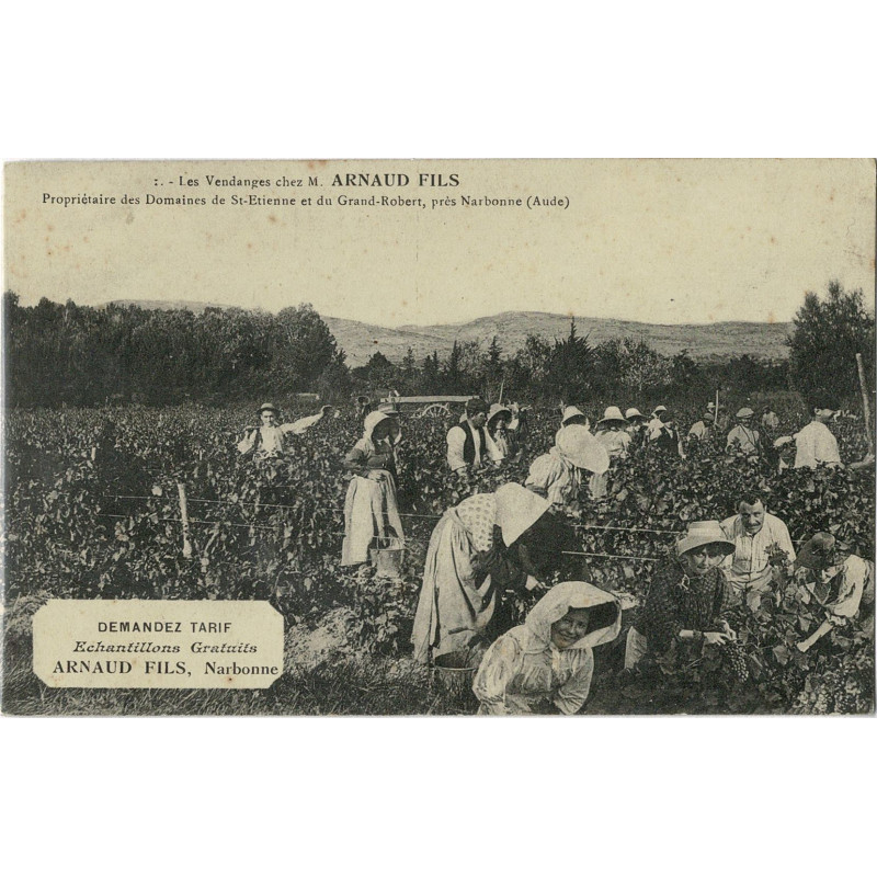 CPA - Narbonne - les vendanges chez M. Arnaud Fils propriétaire des domaines de St Etienne et du Grand Robert N°4