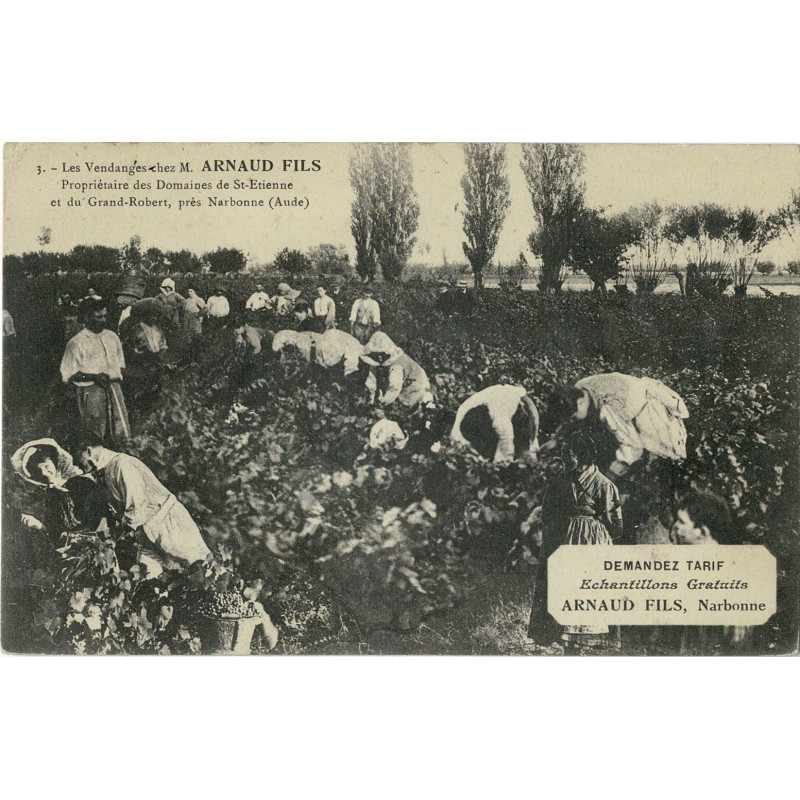 CPA - Narbonne - les vendanges chez M. Arnaud Fils propriétaire des domaines de St Etienne et du Grand Robert N°1