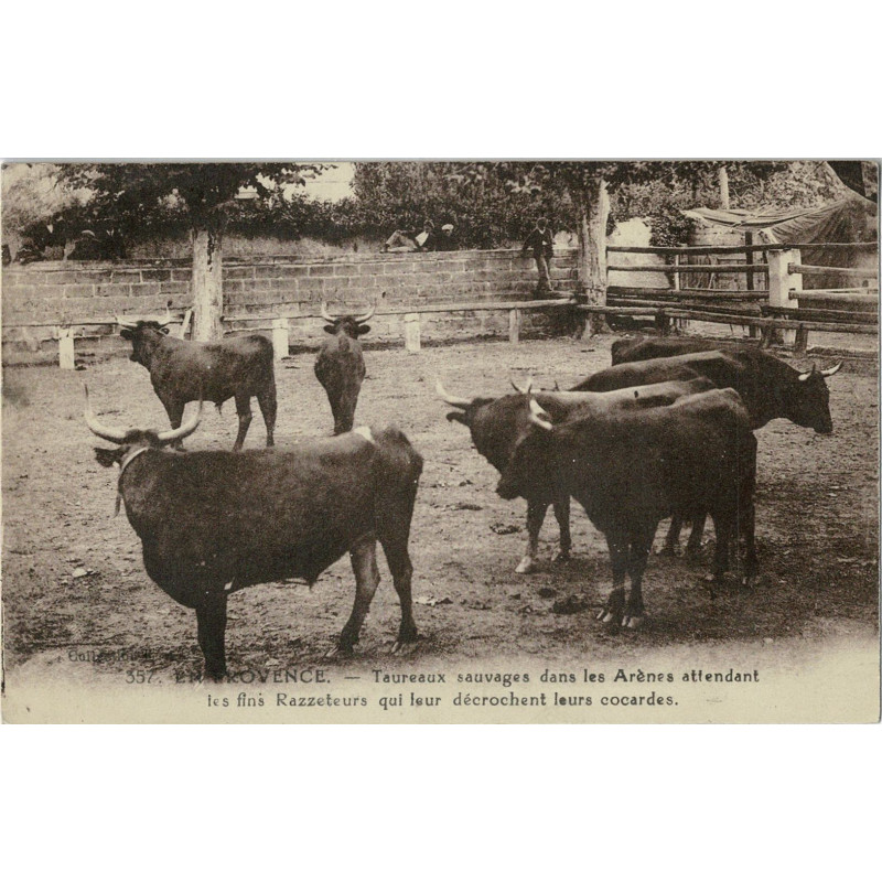 CPA - Taureaux Sauvages dans les Arènes