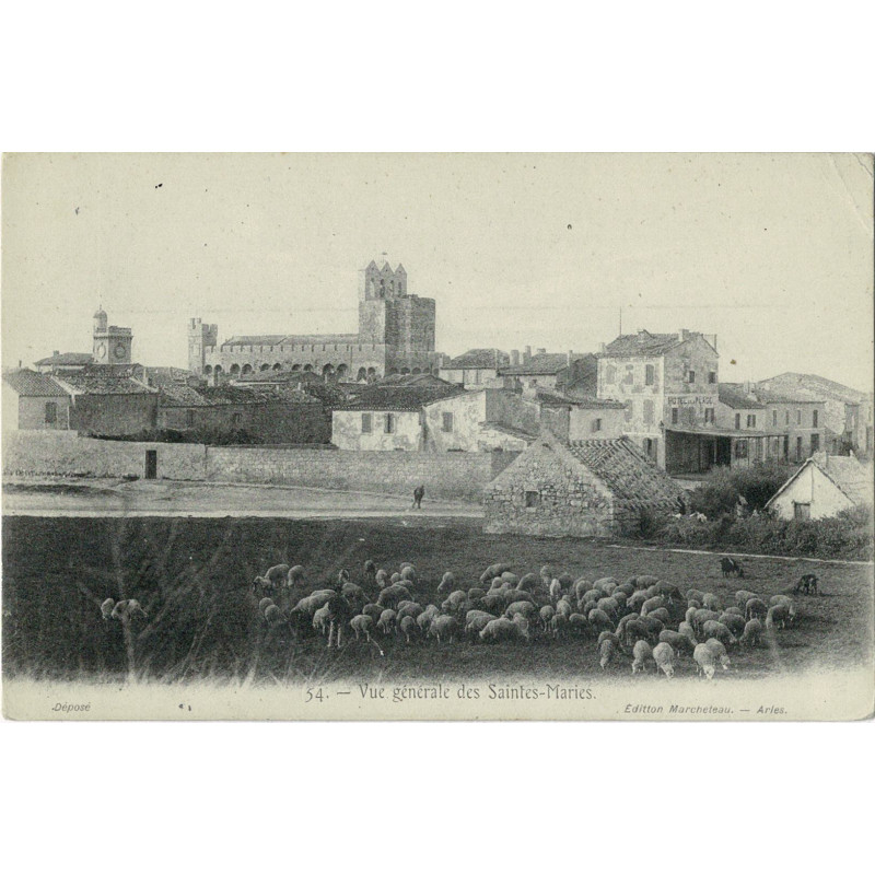 CPA - Vue Générale des Saintes-Maries