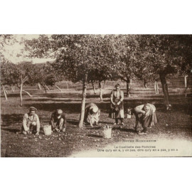 CPA - Notre Normandie - la...