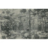 CPA -  Champeaux - Jardin D'Hiver