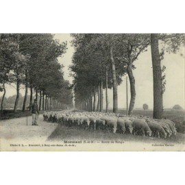 CPA - Mormant - Route de...