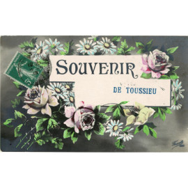 CPA - Souvenir de Toussieu