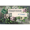 CPA - Souvenir de Toussieu