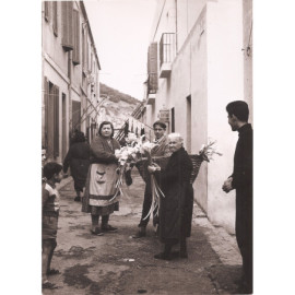 Photo 13x18 - Algérie -...