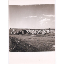 Photo 13x18 - Algérie -...