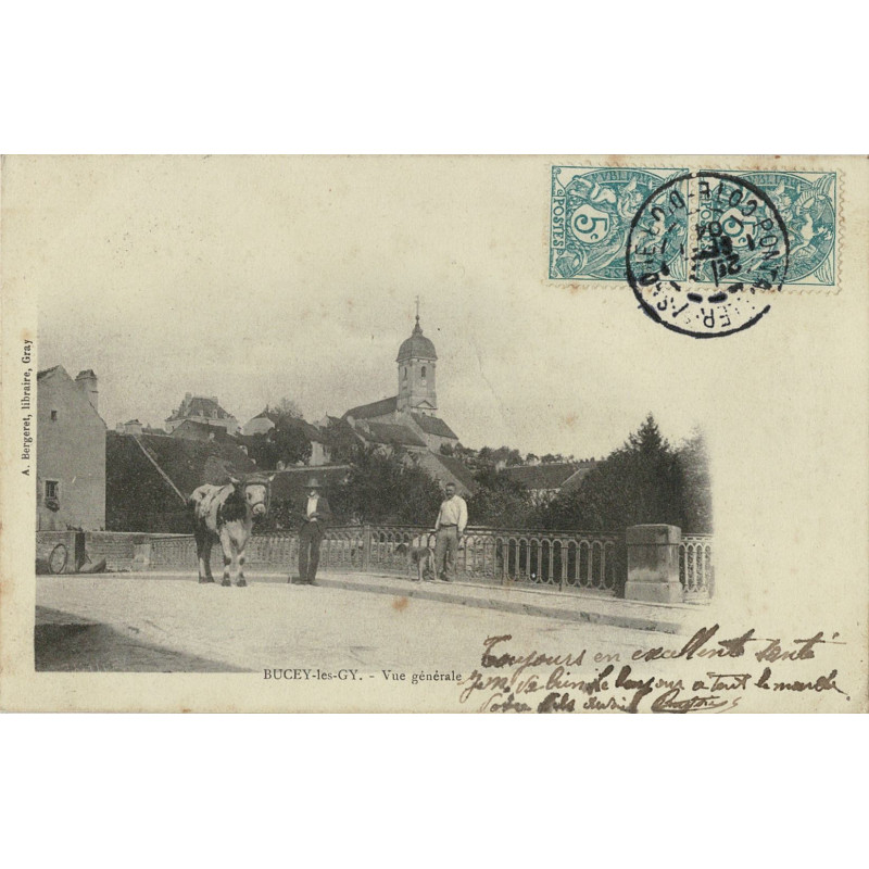 CPA - Boucey-lès-Gy - Vue Générale