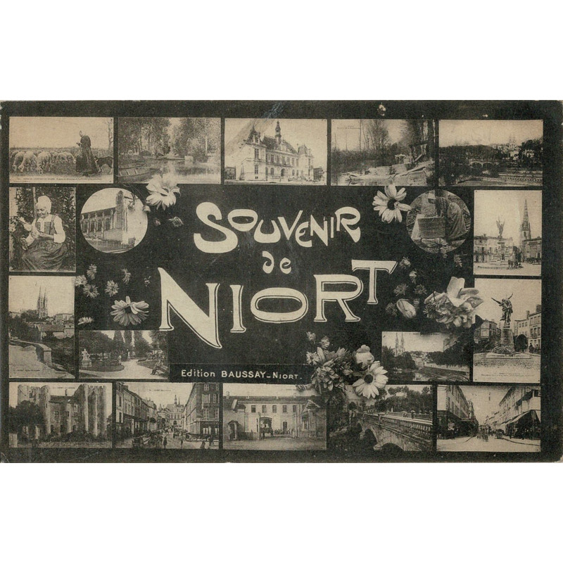 CPA - Souvenir de Niort -
